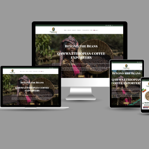 Website Developers